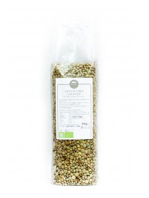 Lenticchia grande  - Busta gr. 500